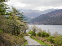 Forest road descending towards shore of... © Trevor Littlewood cc-by-sa/2.0 :: Geograph Britain and Ireland Forest road... 
