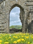 A carpet fit for an abbey © Alan Hughes cc-by-sa/2.0 :: Geograph Britain and Ireland A carpet fit for an abbey &copy; Alan... 