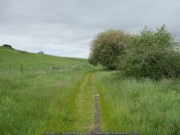 The South Tyne Trail near Merry Knowe © James T M Towill :: Geograph Britain and Ireland The South Tyne Trail near Merry Knowe... 