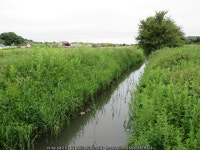 Stream Dike, Hornsea © Malc McDonald cc-by-sa/2.0 :: Geograph Britain and Ireland Stream Dike, Hornsea &copy; Malc McDonald cc... 