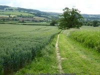 Wardens Way following a field headland © Philip Halling :: Geograph Britain and Ireland Wardens Way following a field headland... 