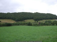 Grazing, Crake Valley © JThomas cc-by-sa/2.0 :: Geograph Britain and Ireland Grazing, Crake Valley &copy; JThomas cc-by-sa/2.0