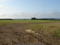 Stubble field, Wellbank © JThomas cc-by-sa/2.0 :: Geograph Britain and Ireland Stubble field, Wellbank &copy; JThomas cc-by-sa/2.0