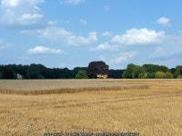 Partly harvested wheat field © Robin Webster cc-by-sa/2.0 :: Geograph Britain and Ireland Partly harvested wheat field... 