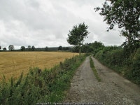 Country Lane © kevin higgins :: Geograph Britain and Ireland Country Lane &copy; kevin higgins