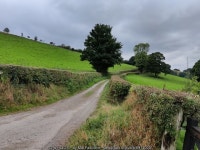 Lane to Coates Farm © Mat Fascione cc-by-sa/2.0 :: Geograph Britain and Ireland Lane to Coates Farm &copy; Mat Fascione cc-by-sa/2.0