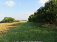 Hedge separating fields near Barrington... © Peter Wood :: Geograph Britain and Ireland Hedge separating fields near Barrington.... 