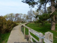 Boardwalk along the Wales Coast Path © Mat Fascione cc-by-sa/2.0 :: Geograph Britain and Ireland Boardwalk along the Wales Coast... 