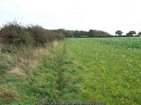 Field path towards the A1038 © David Brown :: Geograph Britain and Ireland Field path towards the A1038 &copy; David Brown