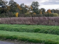 Field by Toft Road © David Howard :: Geograph Britain and Ireland Field by Toft Road &copy; David Howard