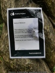 Felling notice on Twisted Tree © David Pashley :: Geograph Britain and Ireland Felling notice on Twisted Tree &copy; David Pashley