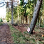 Small log pile: Beecraigs © Jim Smillie :: Geograph Britain and Ireland Small log pile: Beecraigs &copy; Jim Smillie