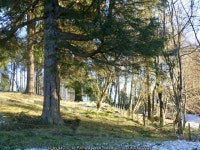 Woodland, Balnakeilly © Richard Webb cc-by-sa/2.0 :: Geograph Britain and Ireland Woodland, Balnakeilly &copy; Richard Webb cc... 