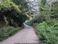 The well-vegetated Nanpusker Road © David Medcalf cc-by-sa/2.0 :: Geograph Britain and Ireland The well-vegetated Nanpusker Road... 
