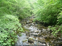 Ingleton Waterfalls Walk [9] © Michael Dibb :: Geograph Britain and Ireland Ingleton Waterfalls Walk [9] &copy; Michael Dibb