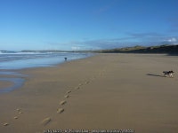 Dogs on the beach at Mexico Towans © Richard Law cc-by-sa/2.0 :: Geograph Britain and Ireland Dogs on the beach at Mexico Towans... 