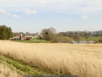 Costerton Mains © Richard Webb :: Geograph Britain and Ireland Costerton Mains &copy; Richard Webb