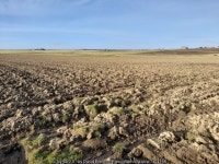 Field, Charity Farm © David Bremner cc-by-sa/2.0 :: Geograph Britain and Ireland Field, Charity Farm &copy; David Bremner cc-by... 