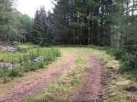 Forestry road near Tomdoun © Steven Brown :: Geograph Britain and Ireland Forestry road near Tomdoun © Steven Brown