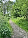 Peat Pits Woodland © Jay Pea :: Geograph Britain and Ireland Peat Pits Woodland &copy; Jay Pea