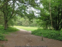 Bridleway through woodland near Abinger... © Malc McDonald :: Geograph Britain and Ireland Bridleway through woodland near... 