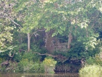 Old Bridge, Bridge of Earn © Richard Webb cc-by-sa/2.0 :: Geograph Britain and Ireland Old Bridge, Bridge of Earn &copy; Richard... 