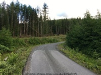 Forestry road, Glen Lochy © Steven Brown cc-by-sa/2.0 :: Geograph Britain and Ireland Forestry road, Glen Lochy &copy; Steven... 