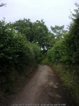 Looking eastwards in Mill Lane © Basher Eyre cc-by-sa/2.0 :: Geograph Britain and Ireland Looking eastwards in Mill Lane... 