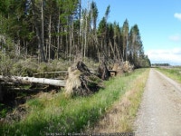 The alternative Pennine Way near Deer... © Dave Kelly :: Geograph Britain and Ireland The alternative Pennine Way near Deer...... 
