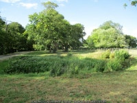 Pond at Burley on the Hill © Jonathan Thacker :: Geograph Britain and Ireland Pond at Burley on the Hill &copy; Jonathan Thacker