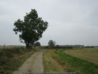 Vize Lane © Jonathan Thacker cc-by-sa/2.0 :: Geograph Britain and Ireland Vize Lane &copy; Jonathan Thacker cc-by-sa/2.0