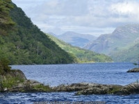 View up Loch Shiel from Eileanan... © Richard Webb cc-by-sa/2.0 :: Geograph Britain and Ireland View up Loch Shiel from... 