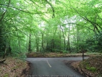 Road junction, Pumpkin Hill © JThomas cc-by-sa/2.0 :: Geograph Britain and Ireland Road junction, Pumpkin Hill &copy; JThomas cc... 