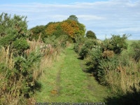 Path of old railway © Scott Cormie cc-by-sa/2.0 :: Geograph Britain and Ireland Path of old railway &copy; Scott Cormie cc-by-sa/2.0