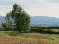 A corner of the common © Gordon Hatton cc-by-sa/2.0 :: Geograph Britain and Ireland A corner of the common &copy; Gordon Hatton... 