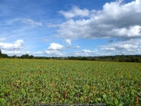 High Field © Simon Carey cc-by-sa/2.0 :: Geograph Britain and Ireland High Field &copy; Simon Carey cc-by-sa/2.0
