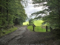 Plantation and fields, Philiphaugh... © Jim Barton :: Geograph Britain and Ireland Plantation and fields, Philiphaugh...... 
