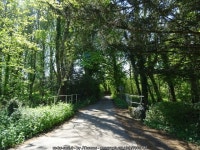 Road towards Mill House © JThomas cc-by-sa/2.0 :: Geograph Britain and Ireland Road towards Mill House &copy; JThomas cc-by-sa/2.0