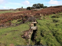 Aqueduct west of Presser Pumping Station © Andrew Curtis cc-by-sa/2.0 :: Geograph Britain and Ireland Aqueduct west of Presser... 