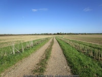 Farm track and footpath to Sutton © Jonathan Thacker :: Geograph Britain and Ireland Farm track and footpath to Sutton... 