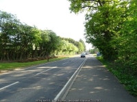 Allington Lane © JThomas :: Geograph Britain and Ireland Allington Lane &copy; JThomas