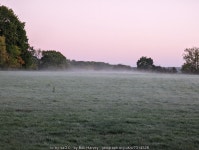 Rising mist © Bob Harvey cc-by-sa/2.0 :: Geograph Britain and Ireland Rising mist &copy; Bob Harvey cc-by-sa/2.0