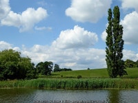 Canal, pasture and poplar tree near... © Roger D Kidd :: Geograph Britain and Ireland Canal, pasture and poplar tree near...... 