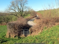 Llwybr Penuwch / Penuwch path © Alan Richards :: Geograph Britain and Ireland Llwybr Penuwch / Penuwch path &copy; Alan Richards
