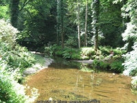 River Lyd, Lydford Gorge © Talisman cc-by-sa/2.0 :: Geograph Britain and Ireland River Lyd, Lydford Gorge &copy; Talisman cc-by... 