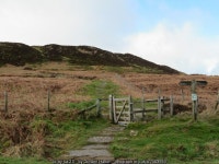 Cleveland Way on Carlton Bank © Gordon Hatton cc-by-sa/2.0 :: Geograph Britain and Ireland Cleveland Way on Carlton Bank... 