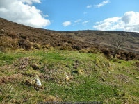 Heath and Grass © kevin higgins :: Geograph Britain and Ireland Heath and Grass &copy; kevin higgins