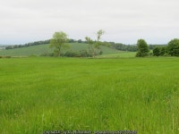 Grass field near Edington Hill © M J Richardson :: Geograph Britain and Ireland Grass field near Edington Hill &copy; M J Richardson