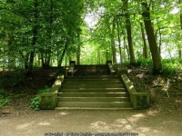 Steps in the grounds of Gawthorpe Hall © Steve Daniels cc-by-sa/2.0 :: Geograph Britain and Ireland Steps in the grounds of... 