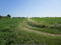 Farm track near Manor Farm © Jonathan Thacker :: Geograph Britain and Ireland Farm track near Manor Farm &copy; Jonathan Thacker
